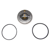 VW Engine Coolant Thermostat - Rein 07K121113B