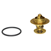 Audi VW Coolant Thermostat - Rein 044121113