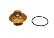 Audi VW Coolant Thermostat - Rein 069121113