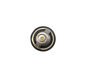 Audi VW Engine Coolant Thermostat - Rein CTN0046