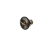 Audi VW Engine Coolant Thermostat - Rein CTN0046