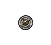 Audi VW Engine Coolant Thermostat - Rein CTN0046