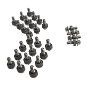 BMW Oil Pan Bolt Set - Rein 11130396707