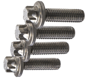 BMW Power Steering Pump Screw Set - OEM Rein 32420392609
