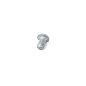 BMW Screw (M6X108 8Zns3) - Genuine BMW 07119906391