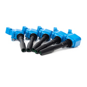 Audi Ignition Coil Kit - APR MS100204KT3