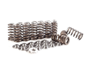 VW Valve Spring & Retainer Kit - Integrated Engineering IEVTVC3