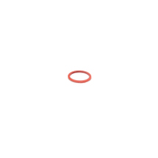 Audi Fuel Injector O-Ring - Genuine Audi VW N0138443