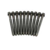 Audi VW Cylinder Head Bolt Set - Reinz 06D198385D