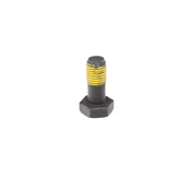 BMW Flexplate Mounting Bolt - Genuine BMW 11227805885