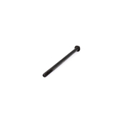 BMW Timing Cover Bolt Torx Bolt (M6X100) - Genuine BMW 11121720731