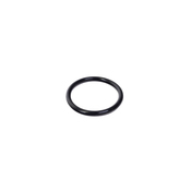 Mini Engine Water Pump Outlet Pipe O-Ring - Reinz 11517509186