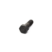 BMW Fit Bolt (M12X42) - Genuine BMW 07119905853