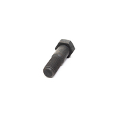 BMW Fit Bolt (M12X42) - Genuine BMW 07119905853