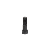 BMW Fit Bolt (M12X42) - Genuine BMW 07119905853
