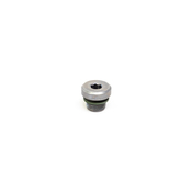 BMW Auto Trans Screw Plug - Genuine BMW 24117552351