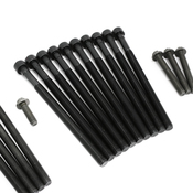 BMW Cylinder Head Bolt Set - Elring 11122165470