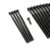 BMW Cylinder Head Bolt Set - Elring 11122165470