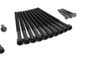 BMW Cylinder Head Bolt Set - Elring 11122165470