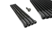 BMW Cylinder Head Bolt Set - Elring 11122165470