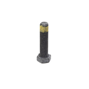 BMW Flywheel Bolt - OE Supplier 11222243051