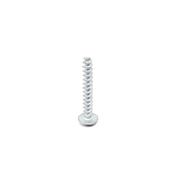 BMW Fan Shroud Screw - Genuine BMW 17117536972