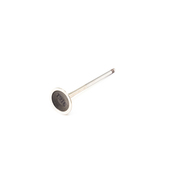 BMW Exhaust Valve - Genuine BMW 11347539916