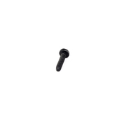 Porsche Torx Bolt - Genuine Porsche 99907318809
