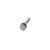 BMW Hex Bolt With Washer (M6X30U1) - Genuine BMW 07119905429