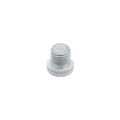 Audi VW Multi-Purpose Threaded Plug - Genuine Audi VW N0160255