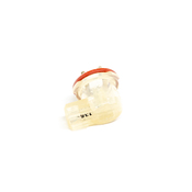 Volvo Fog Light Bulb Socket - Genuine Volvo 30795071