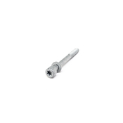 BMW Isa Screw With Washer (M8X80) - Genuine BMW 07129905113
