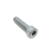 BMW Fillister Head Screw (M8X30) - Genuine BMW 07119901025