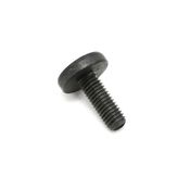 BMW Torx Bolt (M5X14) - Genuine BMW 24341422674