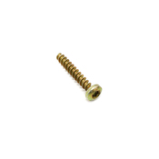 BMW Fillister Head Screw - Genuine BMW 07147195855
