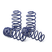 BMW Race Lowering Spring Set - H&R 50410-88