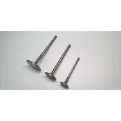 VW Performance Intake Valve Set - Ferrea F2179P