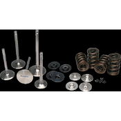 VW Performance Valve Spring Set - Ferrea KT4025