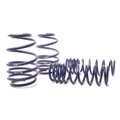BMW Sport Lowering Spring Set - H&R 29991-1