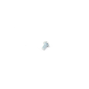 BMW Fillister Head Screw - Genuine BMW 13111259869