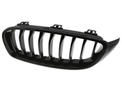 BMW Kidney Grille - Genuine BMW 51712336813
