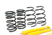 Volvo Suspension Upgrade Kit - Koni Sport 86411410KT1