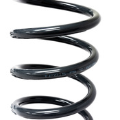 Land Rover Coil Spring Set - Terrafirma TF015