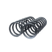 Land Rover Coil Spring Set - Terrafirma TF015