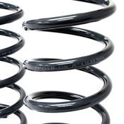 Land Rover Coil Spring Set - Terrafirma TF018