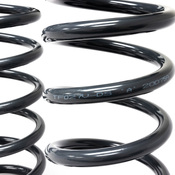 Land Rover Heavy Load Rear Coil Spring Set- Terrafirma TF027V