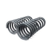 Land Rover Heavy Load Rear Coil Spring Set- Terrafirma TF027V