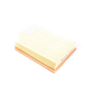 Volvo Air Filter - Mann 8638600