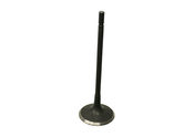 Jaguar Intake Valve - Eurospare AJ810945