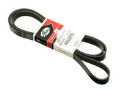 Jaguar Belt 6K X 2464 - Gates C2S24900